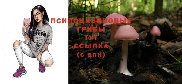 скорость Балахна