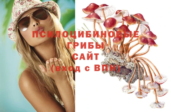 скорость Балахна