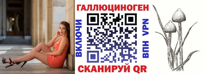 Псилоцибиновые грибы Psilocybe  Невель 